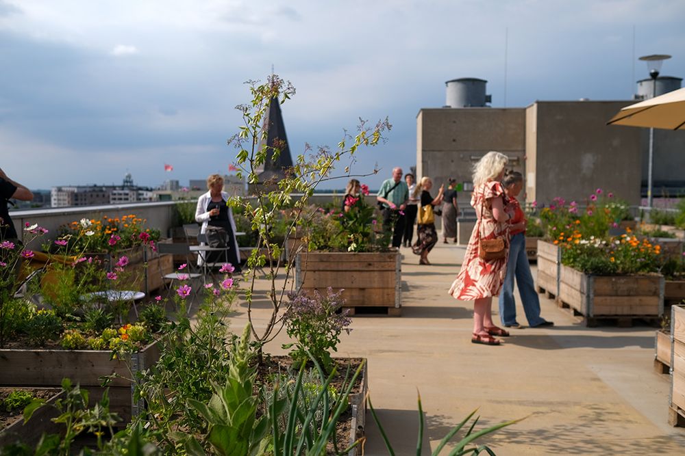 SCHUNCK Kloemele - Rooftop