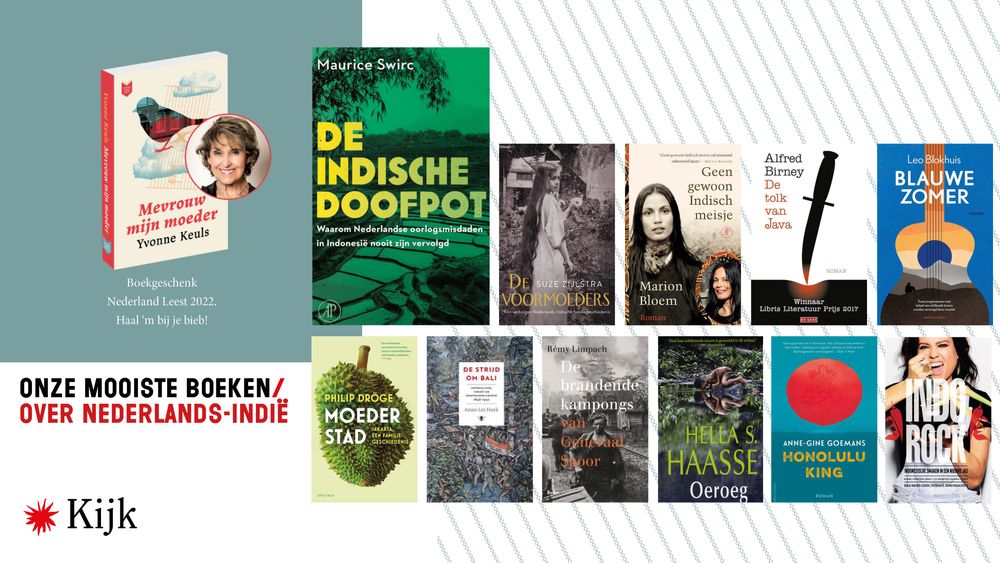 webweergave Boeken NLIndie.jpg