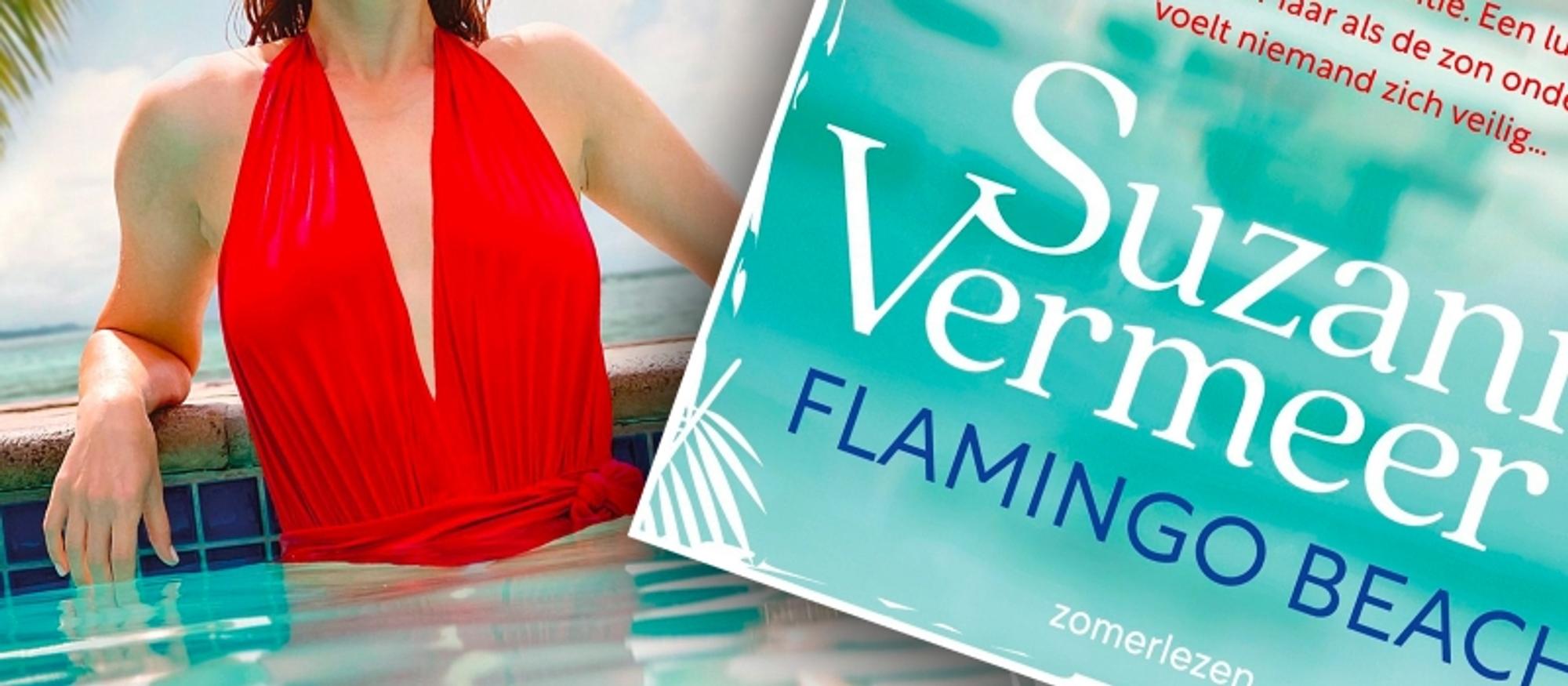 Zomerlezen geschenk Suzanne Vermeer SCHUNCK