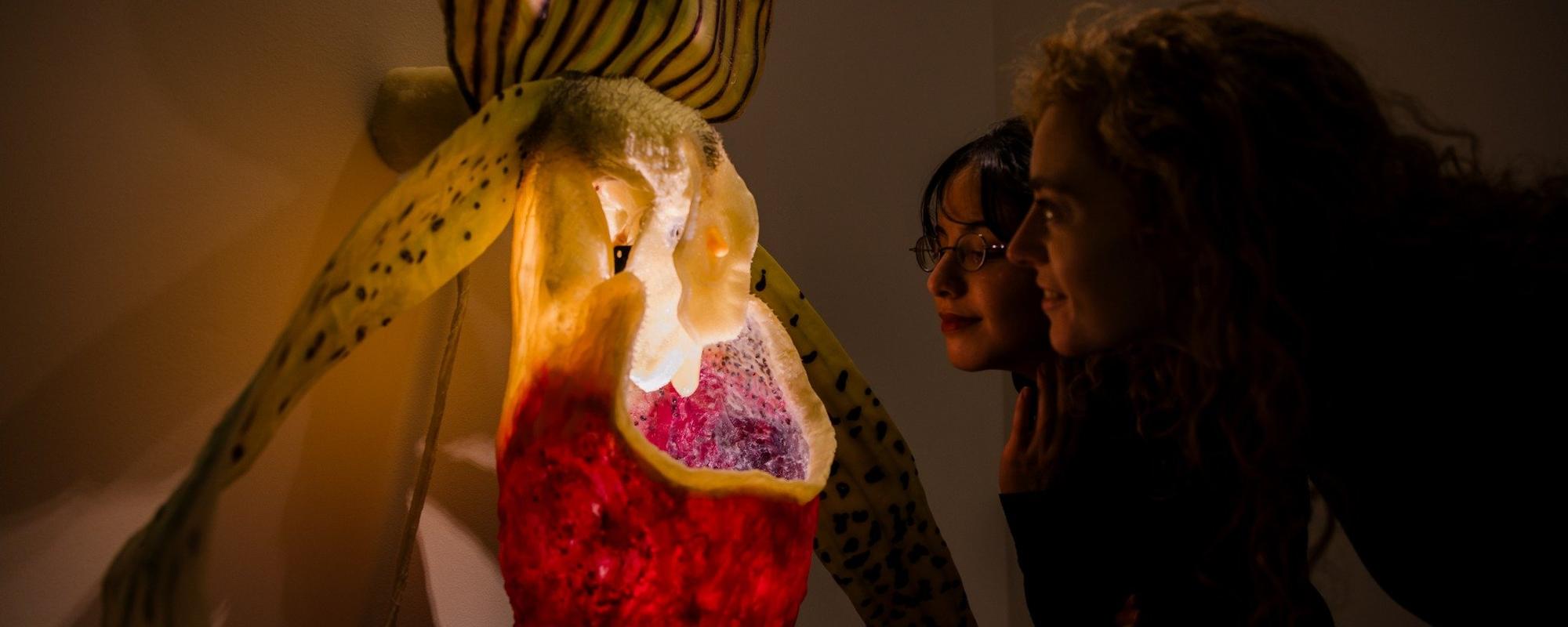 Schunck Rooted in Change 4