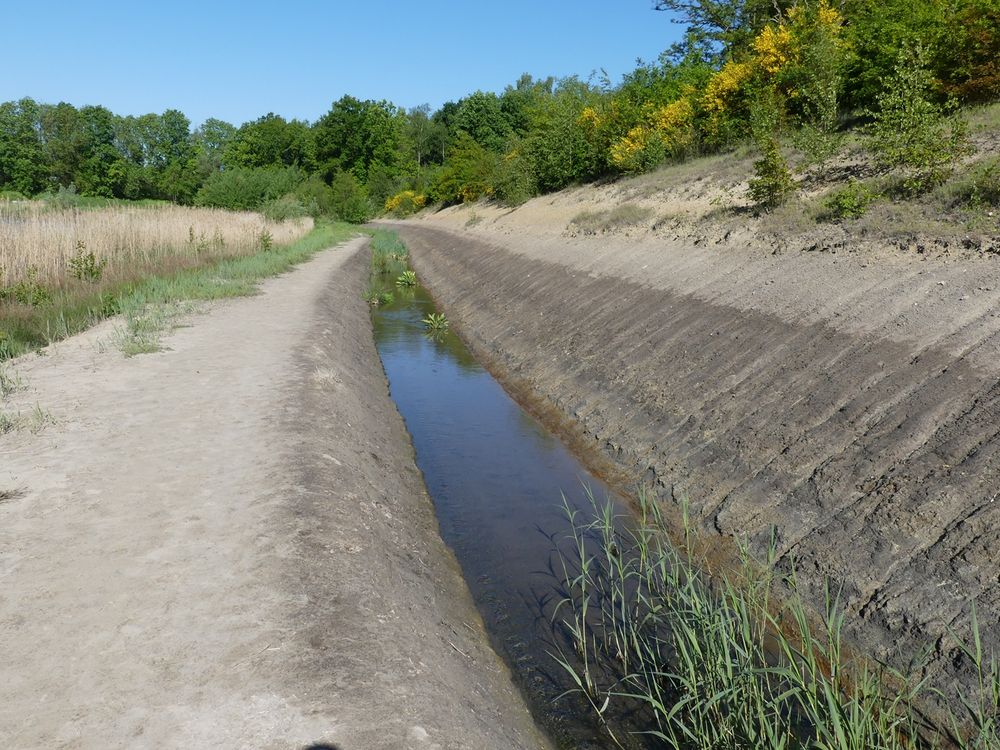 Smalle, door mensen aangelegde watergang met ondiep stromend water, omgeven door graspaden en vegetatie onder een heldere blauwe lucht.