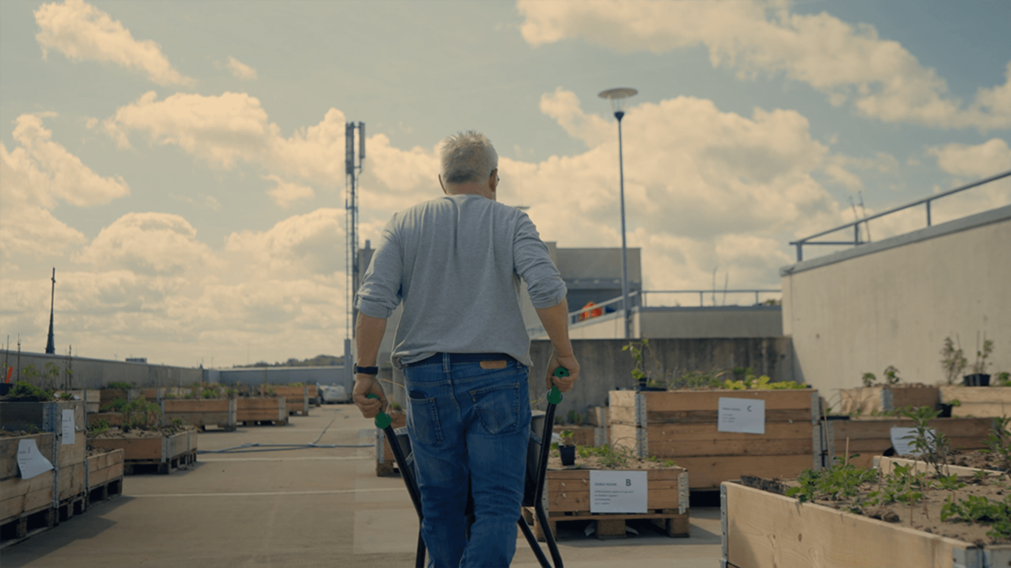 Man loopt met een kruiwagen over een dakterras met houten plantenbakken onder een deels bewolkte hemel; het dak is ingericht als moestuin.