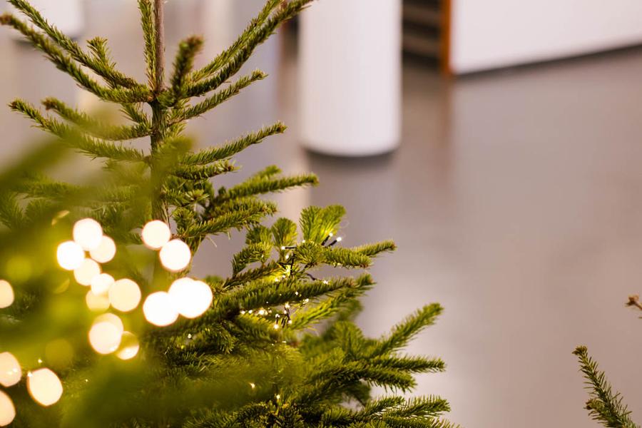 Kerstboom met subtiele verlichting in een ruime, lichte hal met trap op de achtergrond.