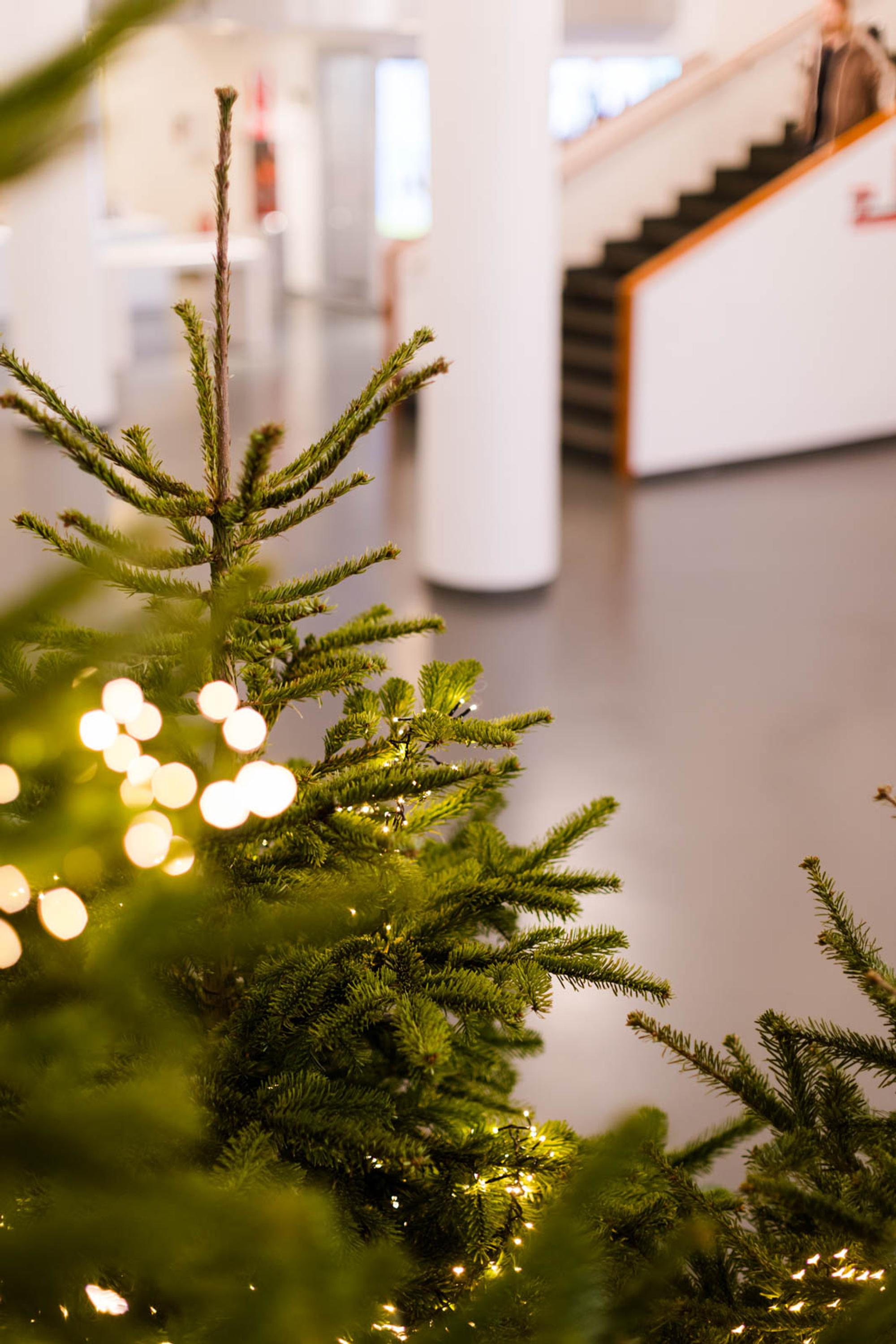 Kerstboom met subtiele verlichting in een ruime, lichte hal met trap op de achtergrond.