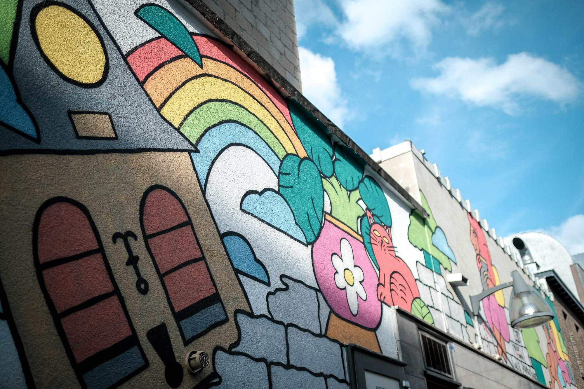 Een foto van een mural in Heerlen waarbij je verschillende kleurrijke graffiti ziet zoals een huis, kat, een plant in een pot en een regenboog. 