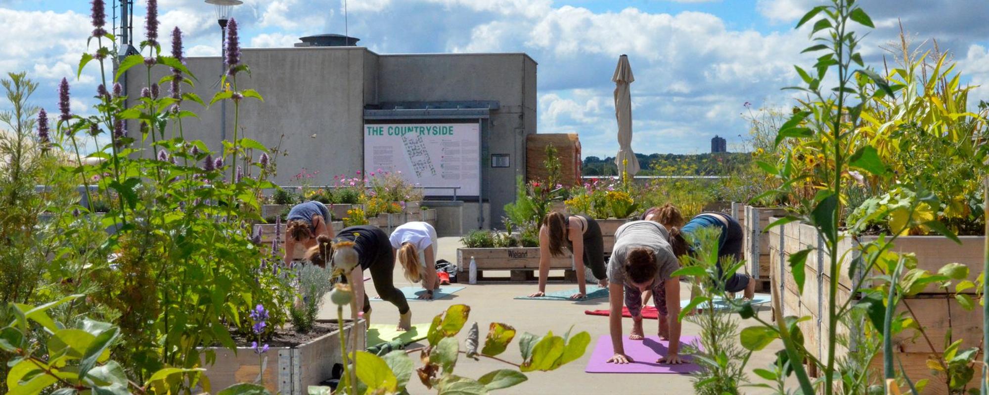 SCHUNCK Rooftop yoga slider5
