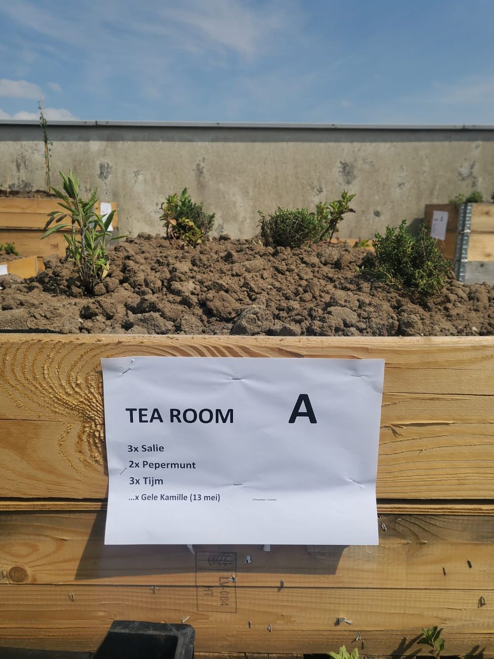 rooftop beplanting 4.jpeg