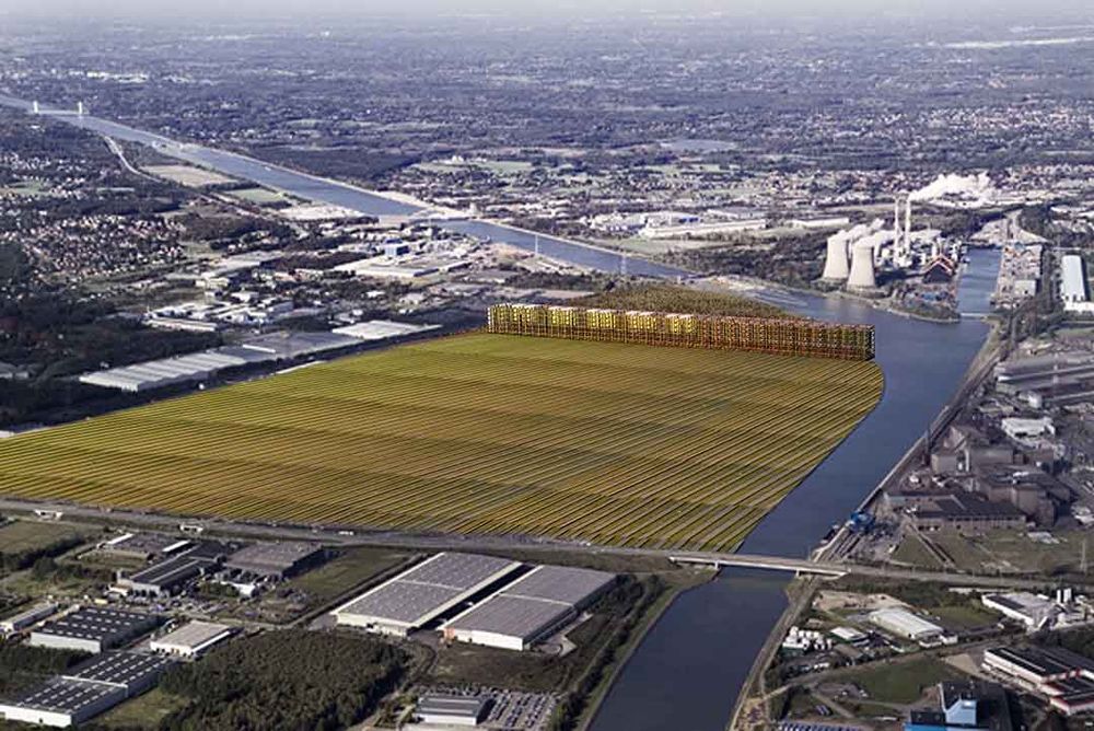UHasselt_Theuwis_image1.jpg