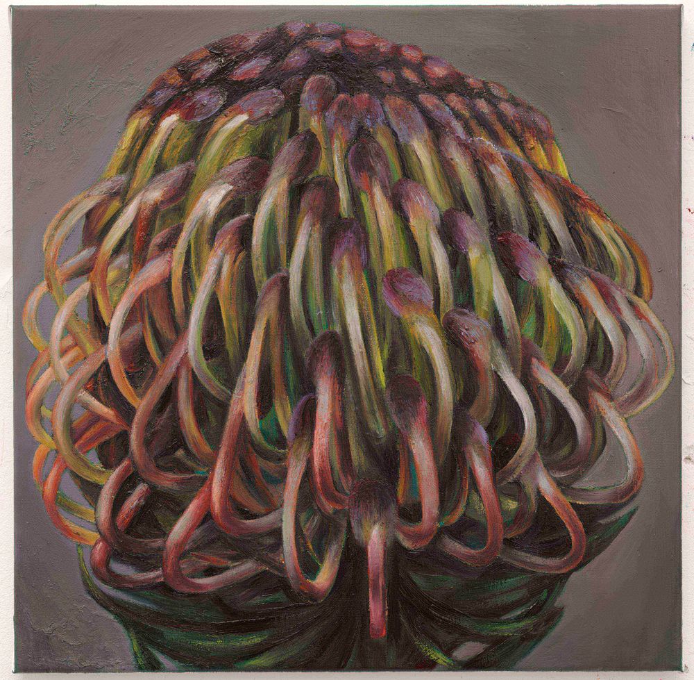 Schilderij Speldekussing (2008) van Ina van Zyl, olieverf op linnen met een close-up van een bloemachtige vorm met lange, gebogen meeldraden.