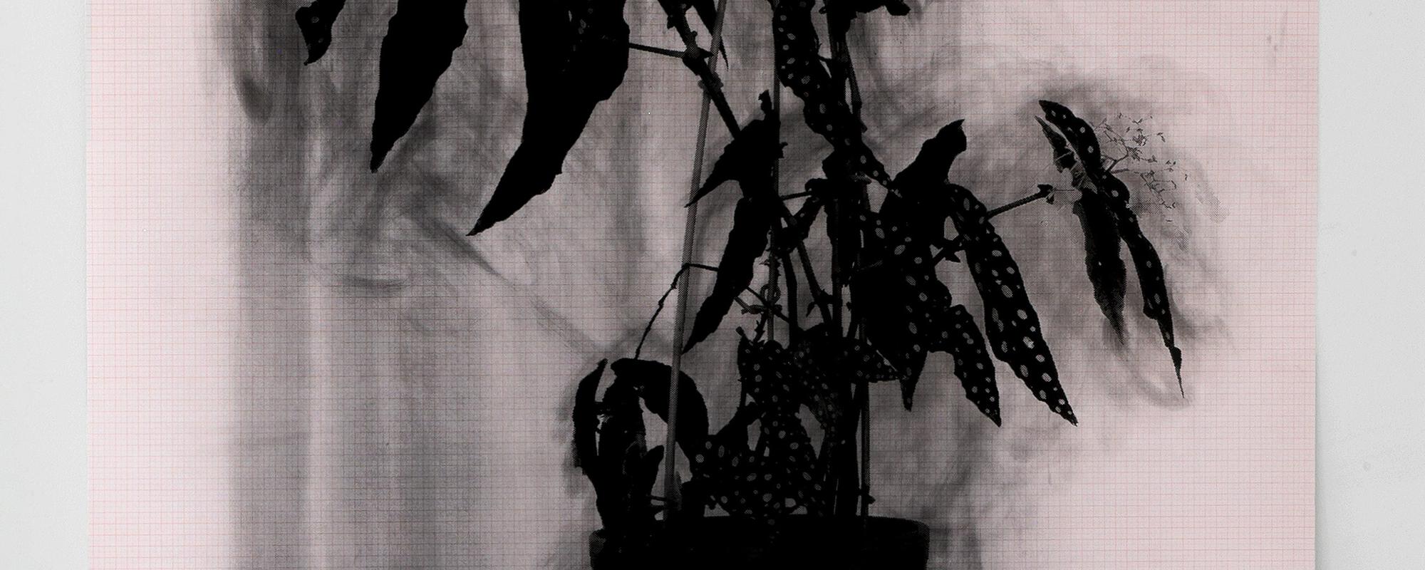 SCHUNCK26 Trappenhuis Romy Finke