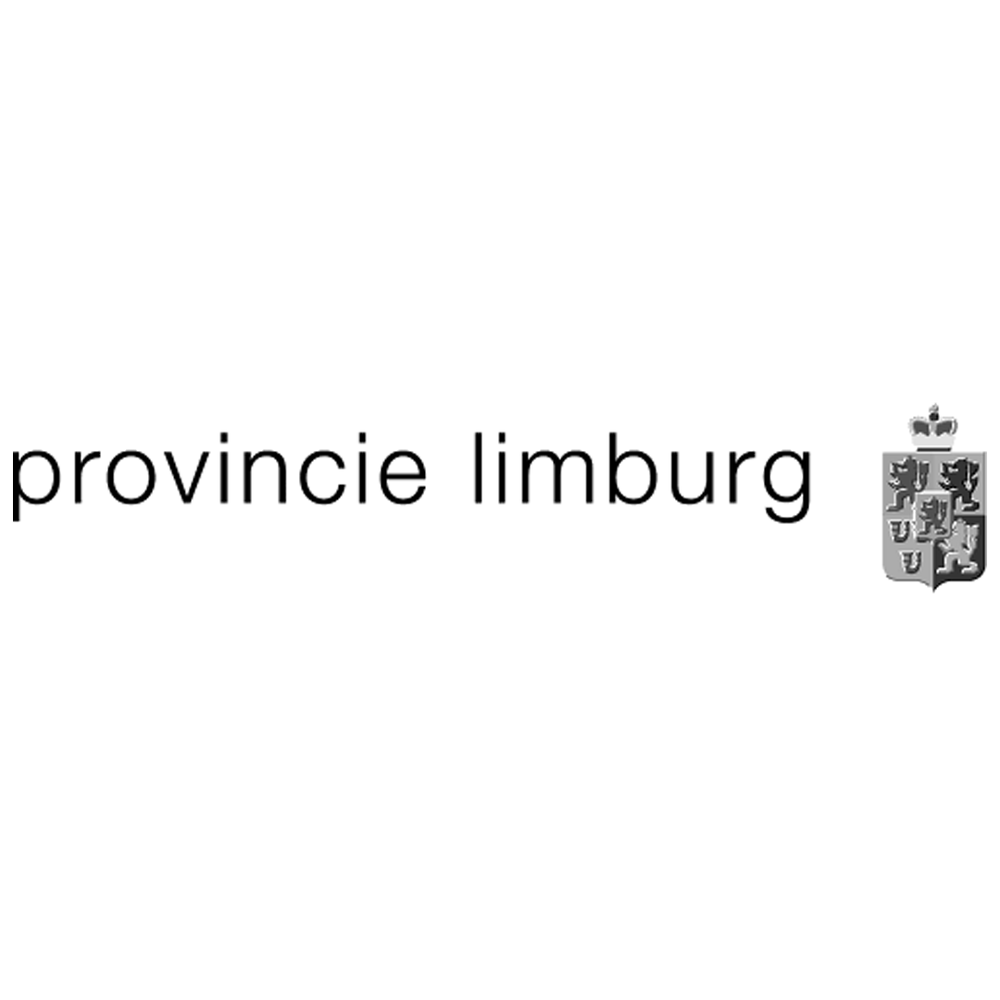 Logo met de tekst “Provincie Limburg, gesubsidieerd door de Provincie Limburg” en rechts daarvan een illustratie van het Limburgse wapen: een schildvorm met vier vlakken met leeuwen en een kroon erboven.