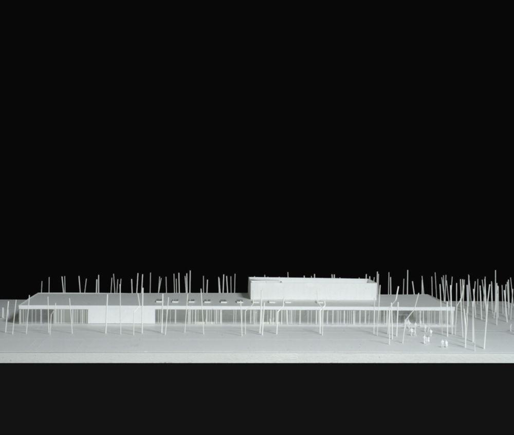 Bosbach, Henrike Clara_header.jpg