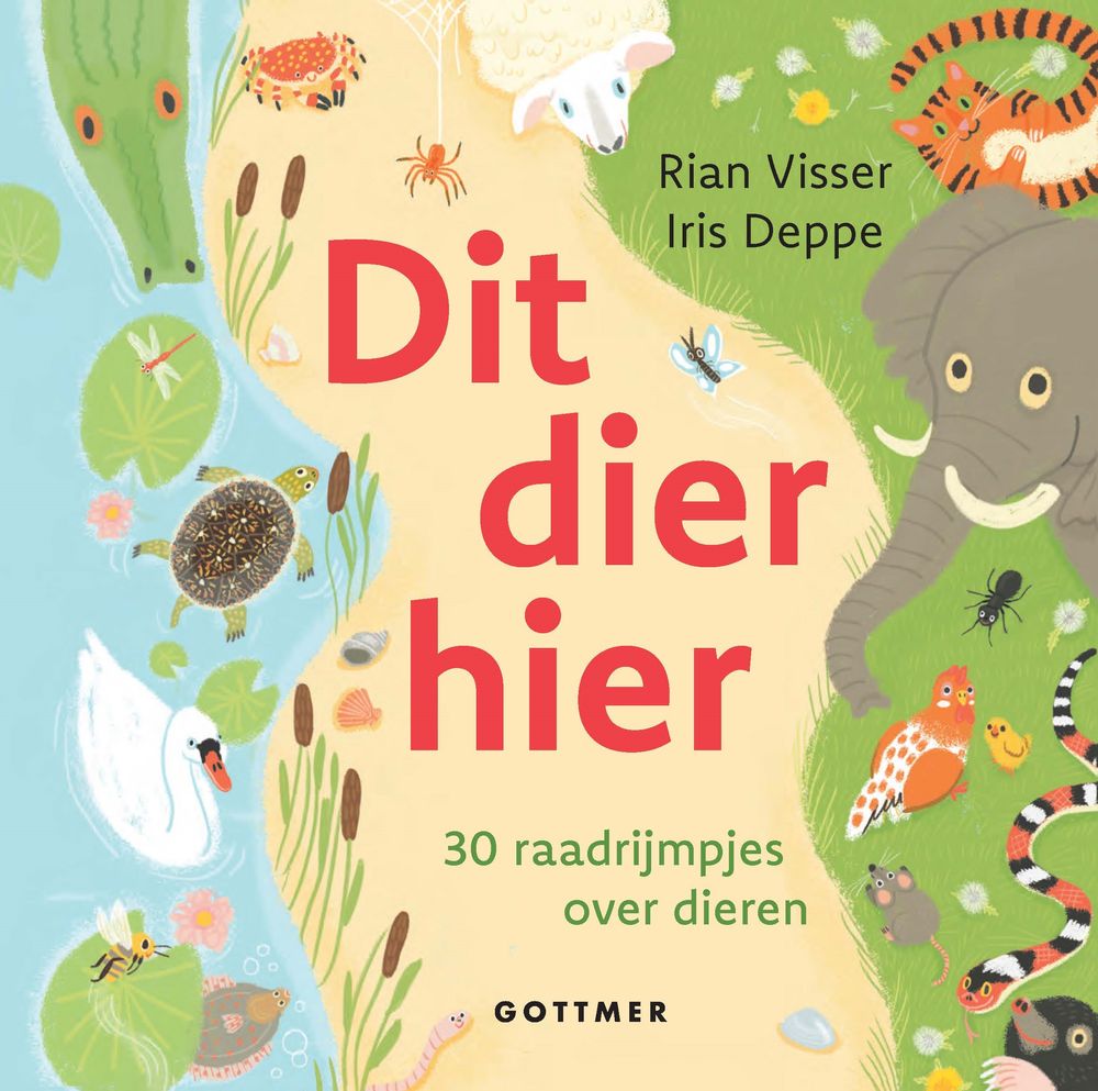 Vrolijke, kleurrijke illustratie van verschillende dieren langs een strandrand en een waterkant. Links zwemmen een zwaan, schildpad en vissen; rechts staan onder andere een olifant, tijger, slang en diverse insecten. In het midden staat de titel “Dit dier hier – 30 raadsrijmpjes over dieren”, met de namen Rian Visser en Iris Deppe.