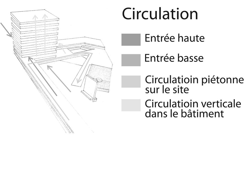 circulation_jpg_web.jpg