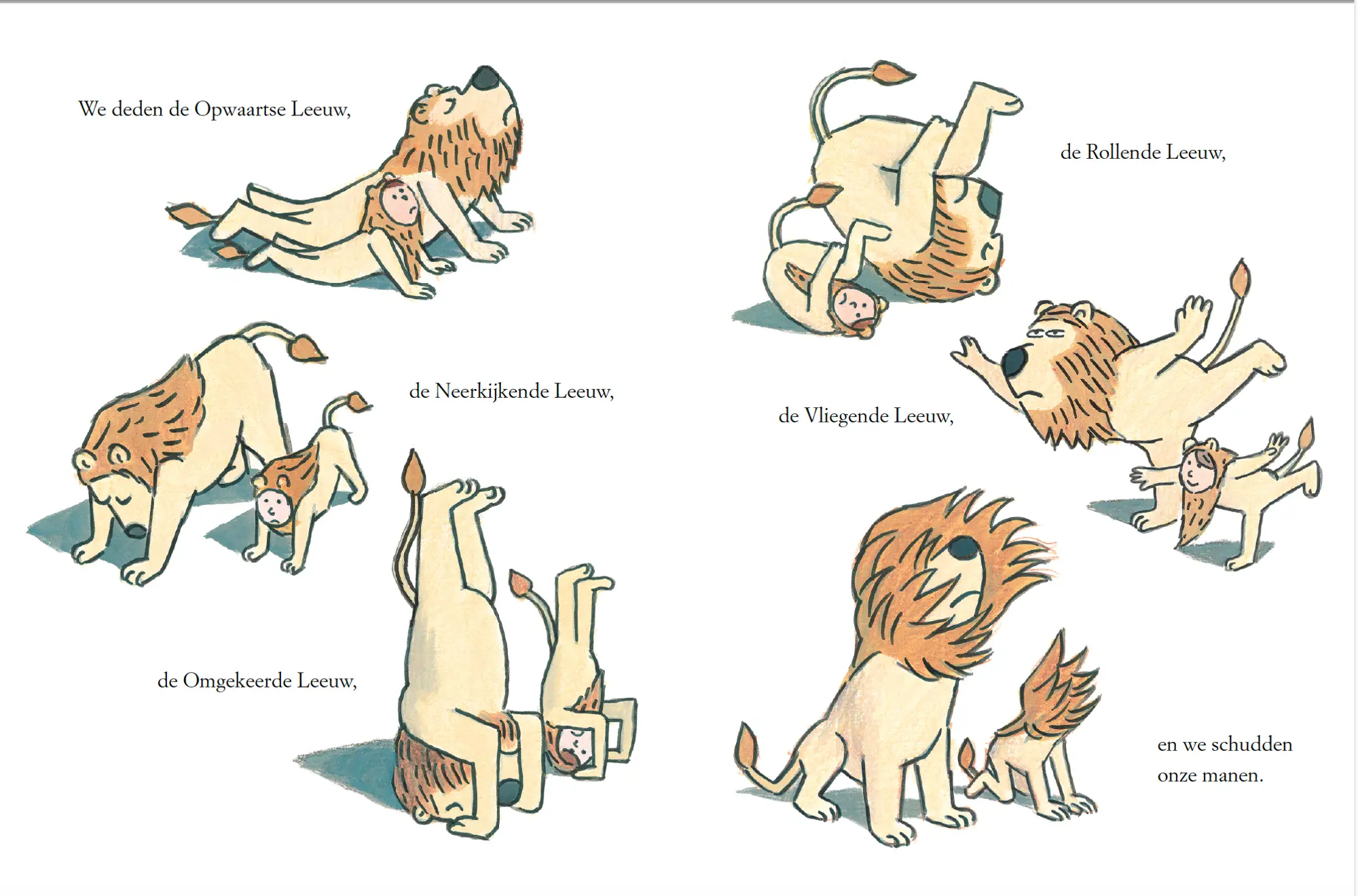 Illustratie uit een kinderboek, waarop verschillende leeuwen en een kind in allerlei grappige houdingen staan. De leeuwen doen oefeningen zoals de "Opwaartse Leeuw", "Neerkijkende Leeuw", "Omgekeerde Leeuw", "Vliegende Leeuw", "Rollende Leeuw", en het schudden van hun manen.