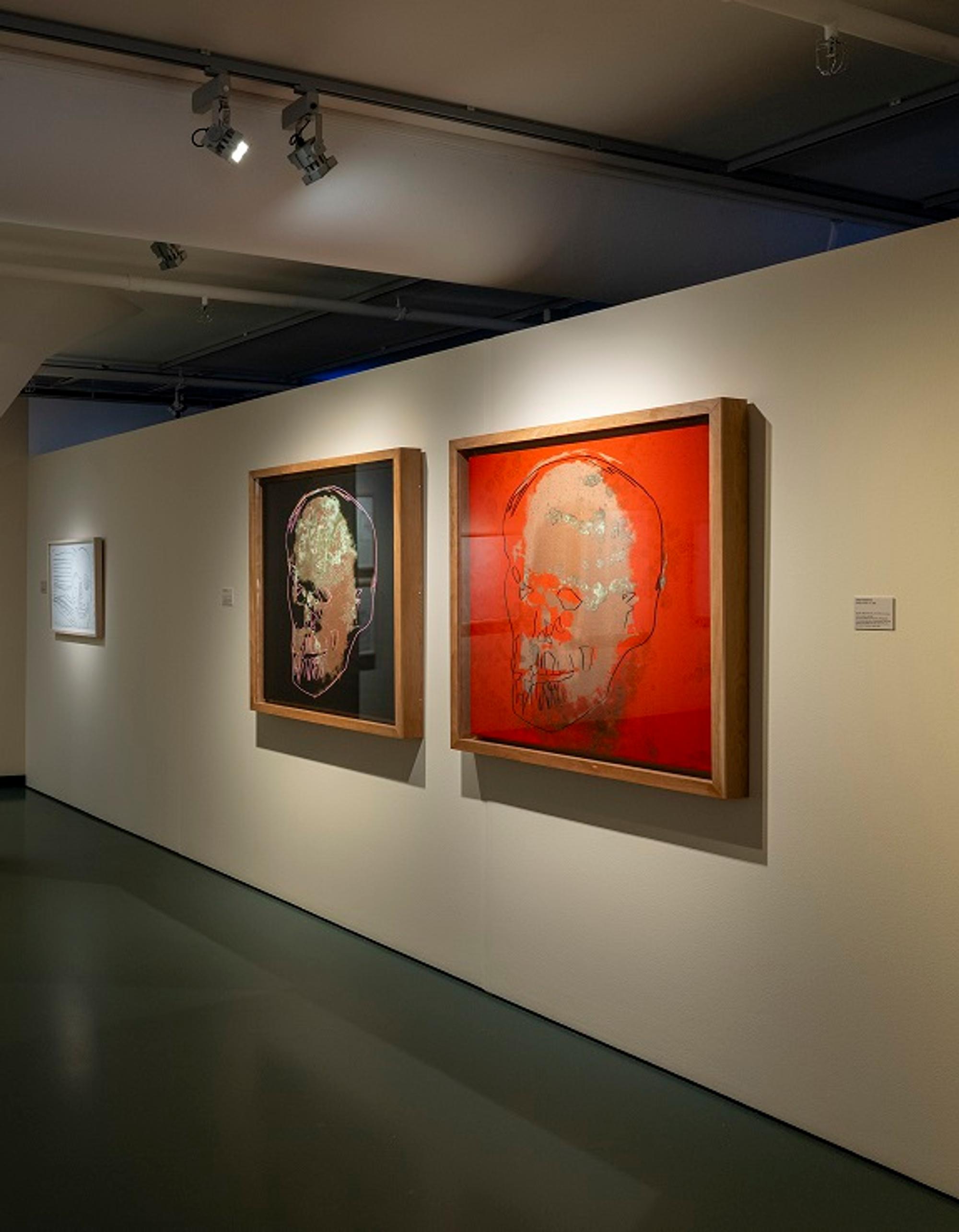 Andy Warhol Vanitas Schunck Twee zeefdrukken met schedel op de muur tijdens expositie Andy Warhol Vanitas.