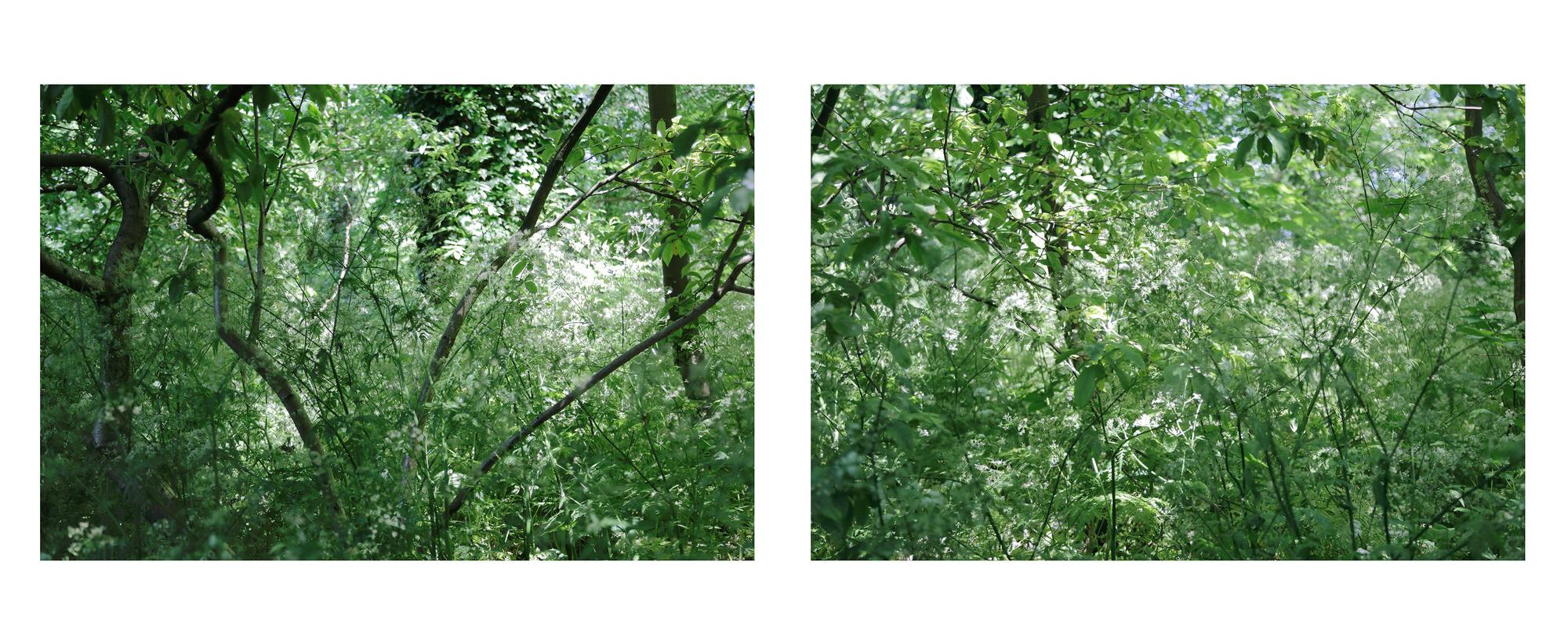 SCHUNCK26 Trappenhuis Francy Finke 