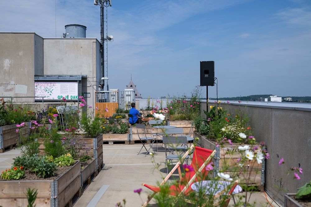 Zonnige daktuin met bloeiende planten in houten bakken, kleurrijke bloemen en enkele lege stoelen en tafels. Een persoon zit in de verte in een blauwe trui, met uitzicht op de stad Heerlen. Op de muur links hangt een bord met de titel "Op je dak".