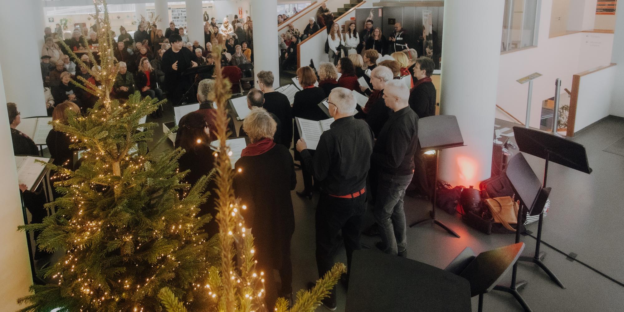 Een koor zingt in een volle hal met een versierde kerstboom op de voorgrond. Het publiek luistert aandachtig, terwijl warme verlichting zorgt voor een feestelijke sfeer.