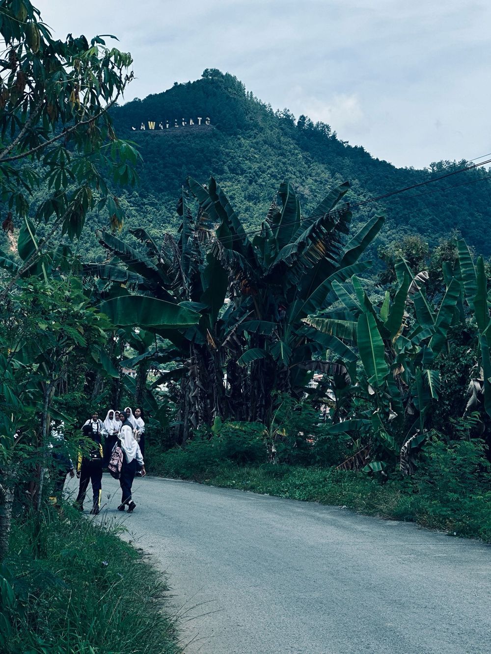 Mensen op een straat omgeven door palmbomen