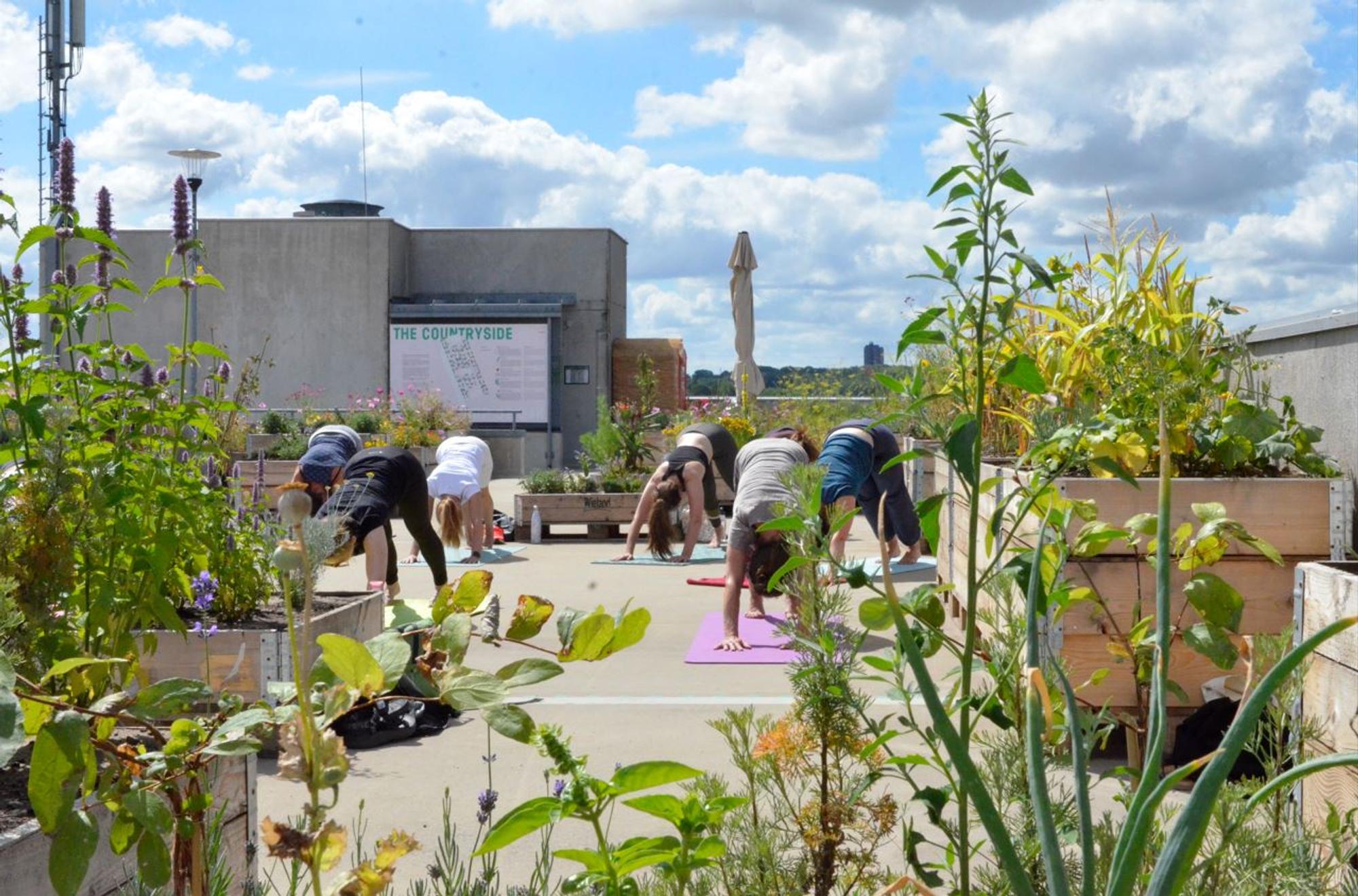 Schunck Yoga in De Stadsdaktuin    Rooftop Project