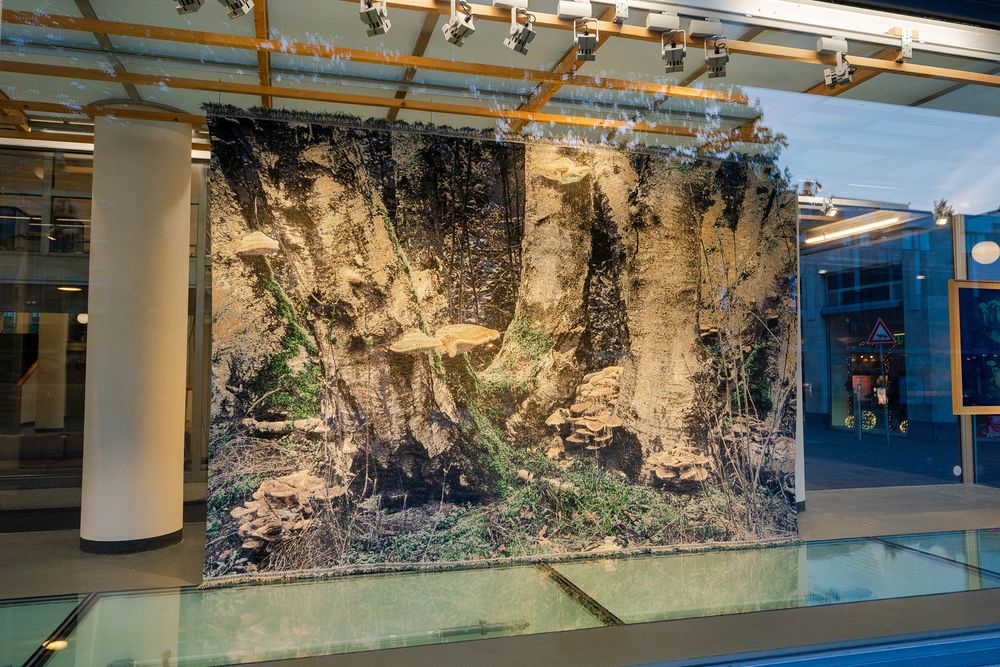 Groot textielwerk met een boslandschap en zwammen, gepresenteerd in de etalageruimte van SCHUNCK achter de glazen gevel.