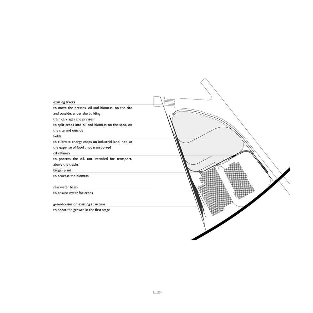 UHasselt_Gielis_image4.jpg