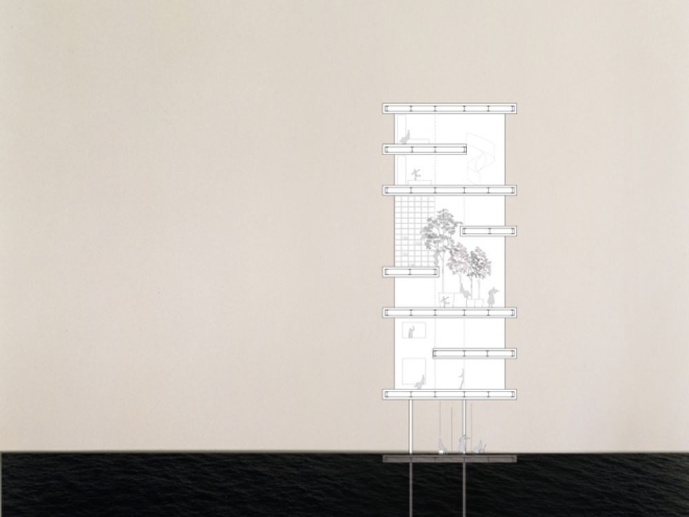 EAP21 2011 Andrea Kuhn 3