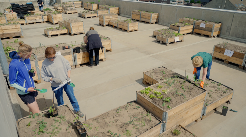 SCHUNCK Rooftop voorbereidingen