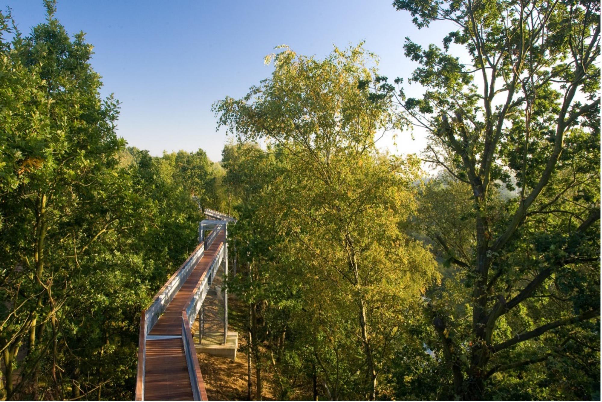 Hoge loopbrug tussen bomen. 